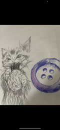 Kitty