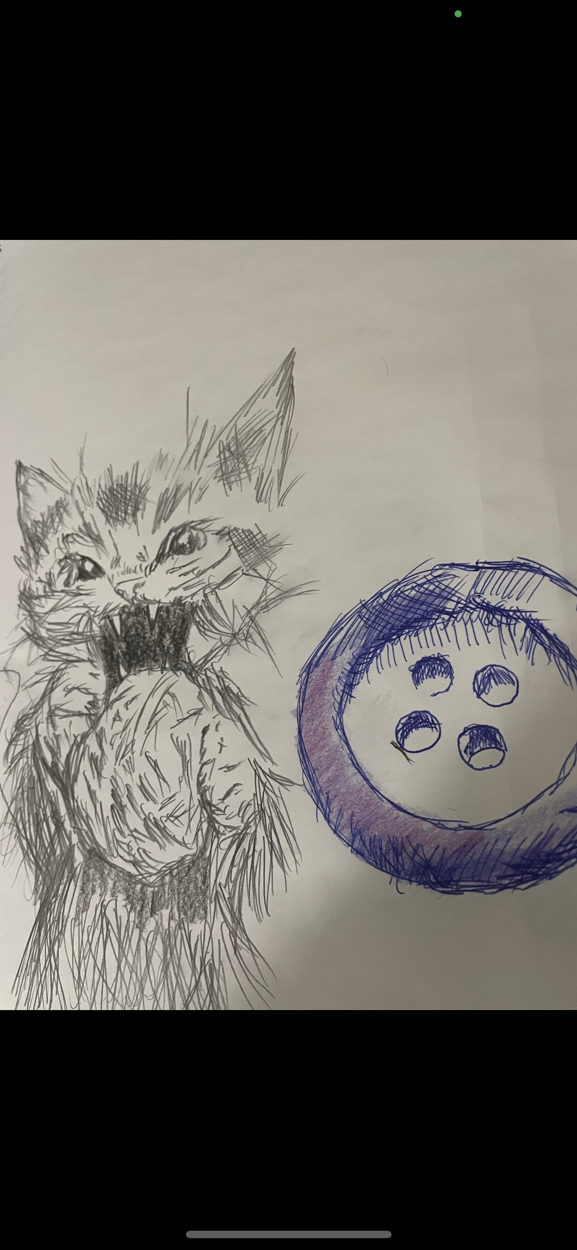 Kitty